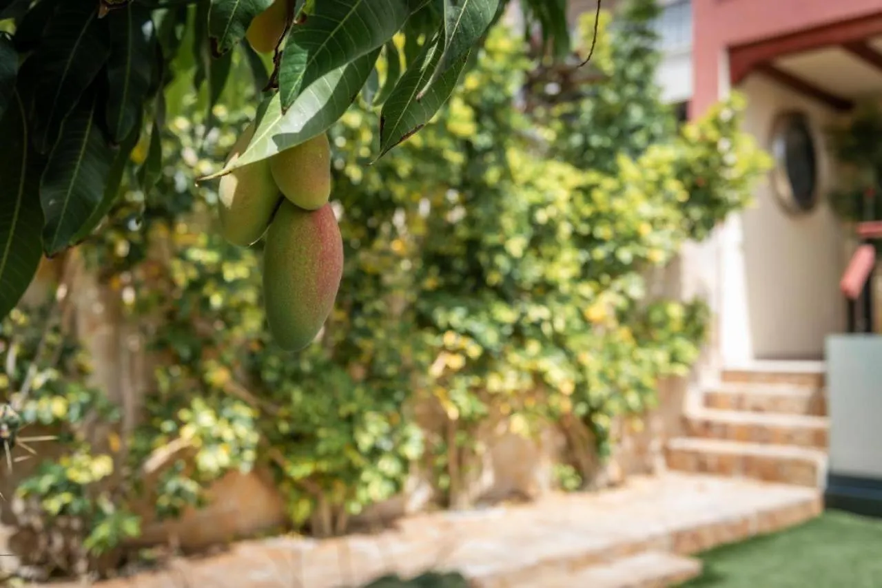 Comfortable Villa Private Garden Costa Adeje